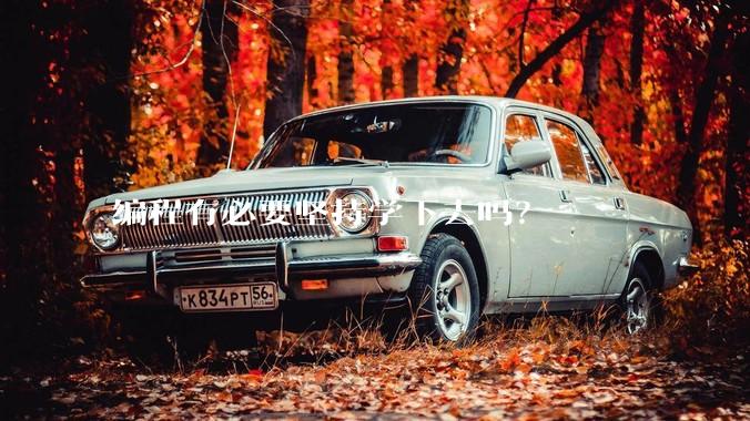 编程有必要坚持学下去吗？